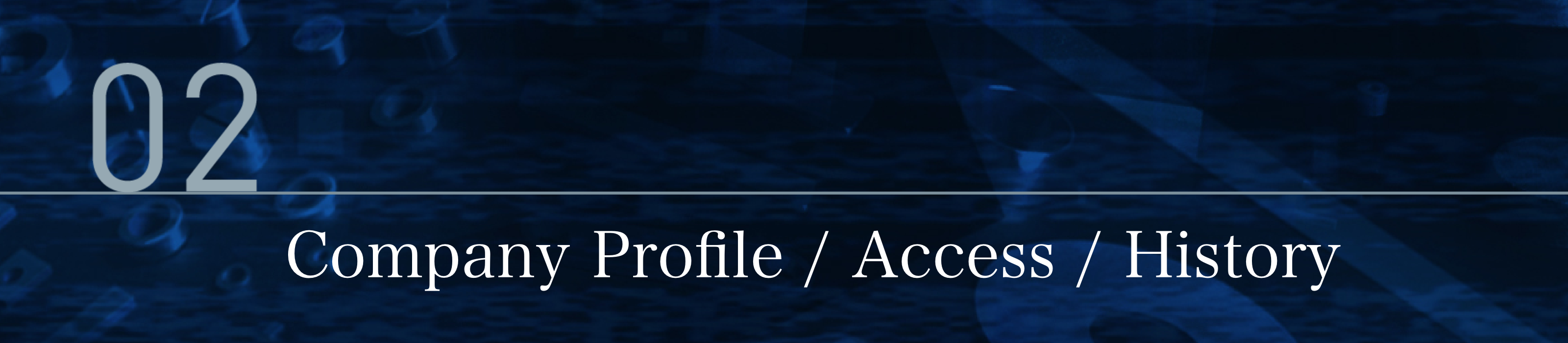 Company Profile / Access / History