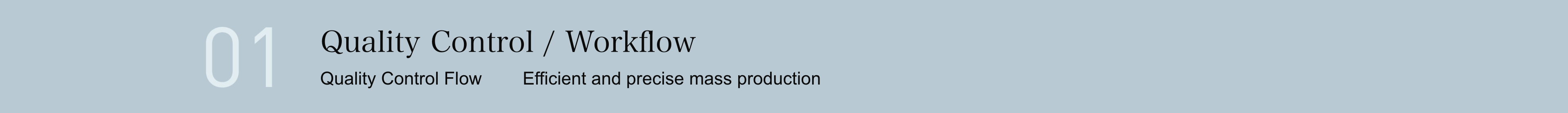 Quality Control / Workflow